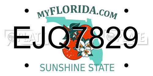 EJQ7829 Florida License Plate