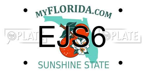 EJS6 Florida License Plate