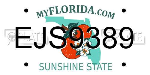 EJS9389 Florida License Plate