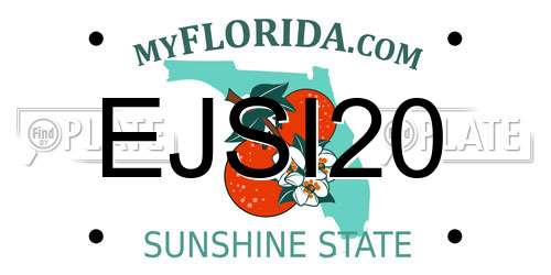 EJSI20 Florida License Plate