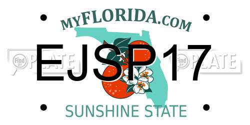 EJSP17 Florida License Plate