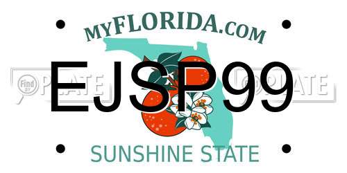 EJSP99 Florida License Plate