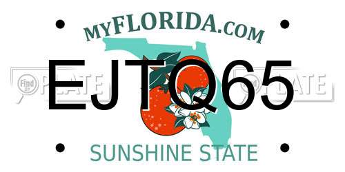 EJTQ65 Florida License Plate
