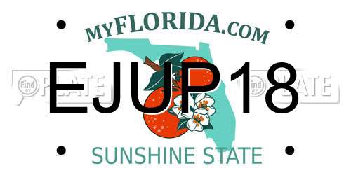 EJUP18 Florida License Plate