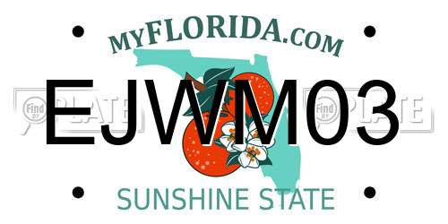 EJWM03 Florida License Plate
