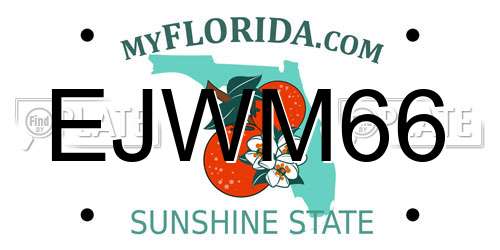 EJWM66 Florida License Plate