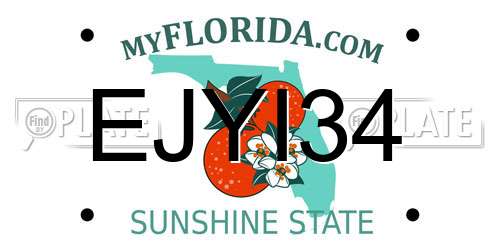 EJYI34 Florida License Plate