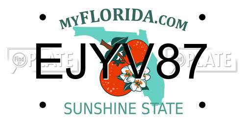 EJYV87 Florida License Plate