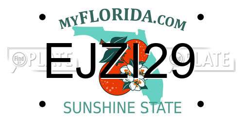 EJZI29 Florida License Plate