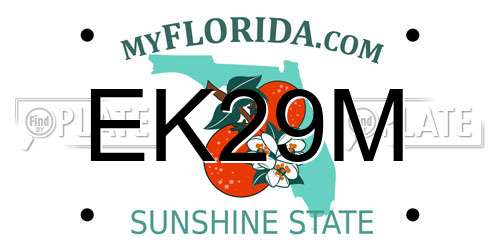 EK29M Florida License Plate