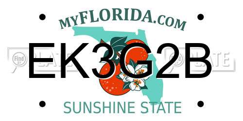 EK3G2B Florida License Plate