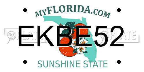 EKBE52 Florida License Plate