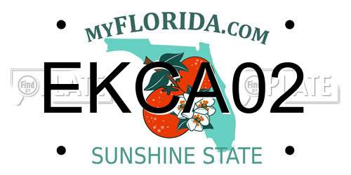 EKCA02 Florida License Plate