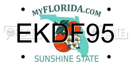 EKDF95 Florida License Plate