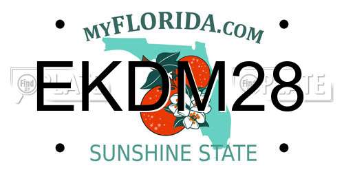 EKDM28 Florida License Plate