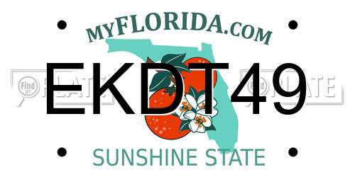 EKDT49 Florida License Plate