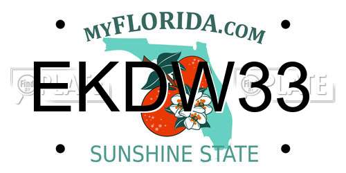 EKDW33 Florida License Plate