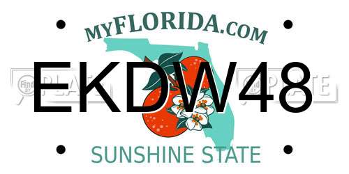 EKDW48 Florida License Plate
