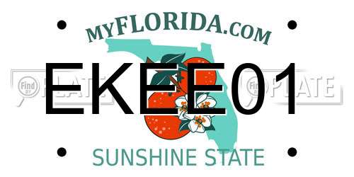 EKEE01 Florida License Plate