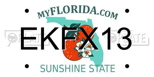EKFX13 Florida License Plate
