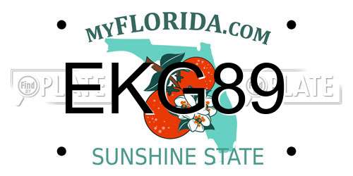 EKG89 Florida License Plate