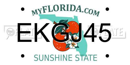 EKGJ45 Florida License Plate