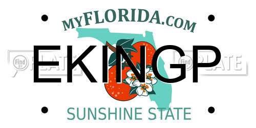 EKINGP Florida License Plate