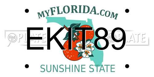 EKIT89 Florida License Plate