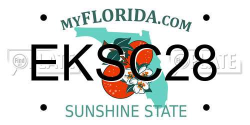 EKSC28 Florida License Plate