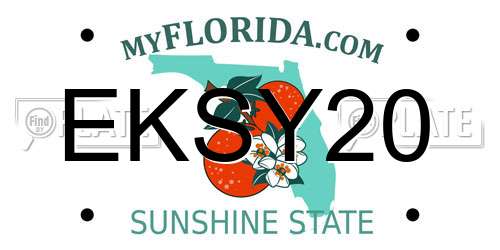 EKSY20 Florida License Plate