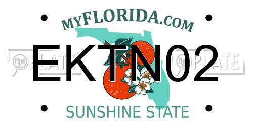 EKTN02 Florida License Plate