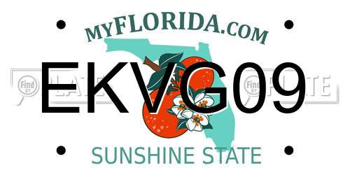 EKVG09 Florida License Plate