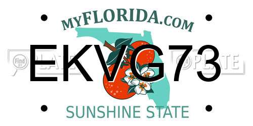 EKVG73 Florida License Plate