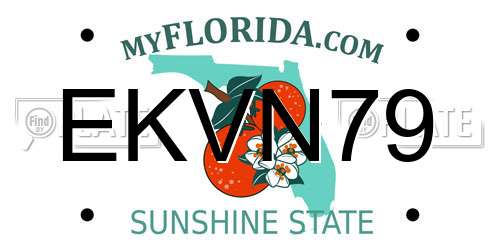 EKVN79 Florida License Plate