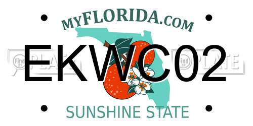 EKWC02 Florida License Plate