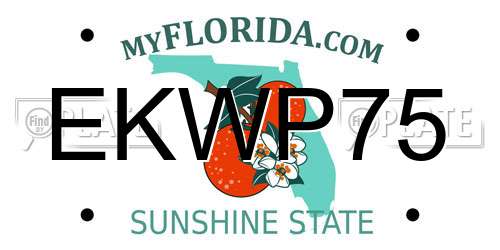 EKWP75 Florida License Plate