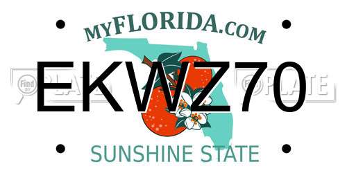 EKWZ70 Florida License Plate