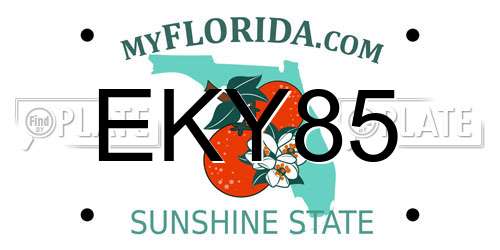 EKY85 Florida License Plate