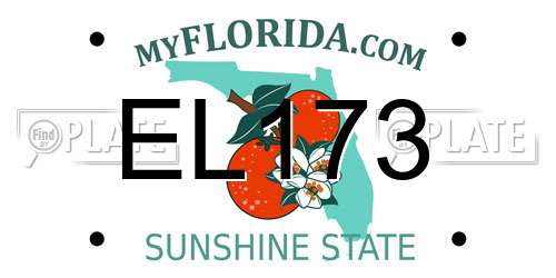 EL173 Florida License Plate