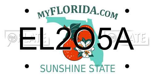 EL2O5A Florida License Plate