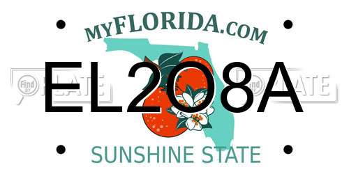 EL2O8A Florida License Plate