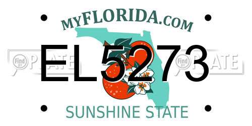 EL5273 Florida License Plate
