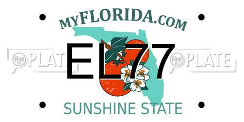 EL77 Florida License Plate