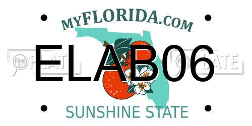 ELAB06 Florida License Plate