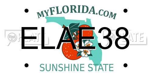 ELAE38 Florida License Plate