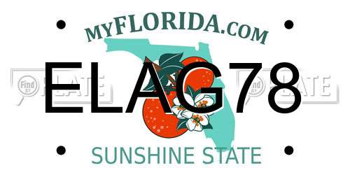 ELAG78 Florida License Plate