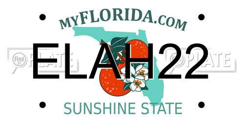 ELAH22 Florida License Plate