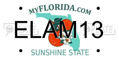 ELAM13 Florida License Plate
