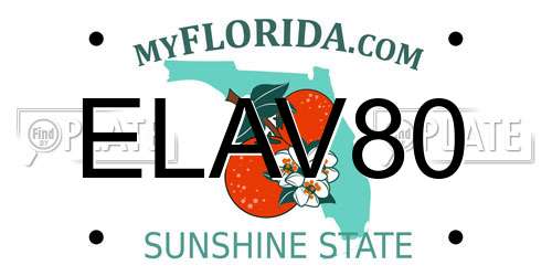 ELAV80 Florida License Plate