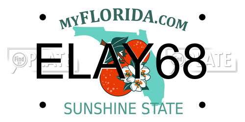 ELAY68 Florida License Plate